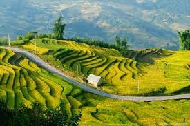 Cycling Trip Sapa 1 Day